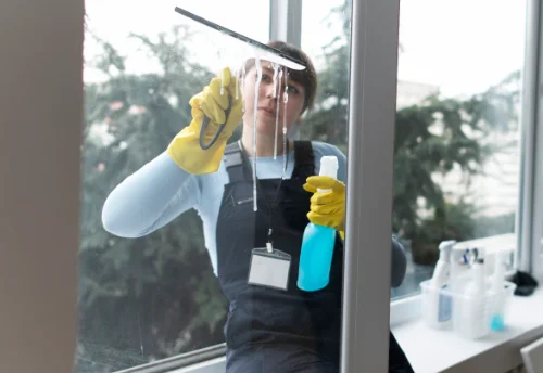Nettoyage de vitres intérieures et extérieures à Bertric-Burée